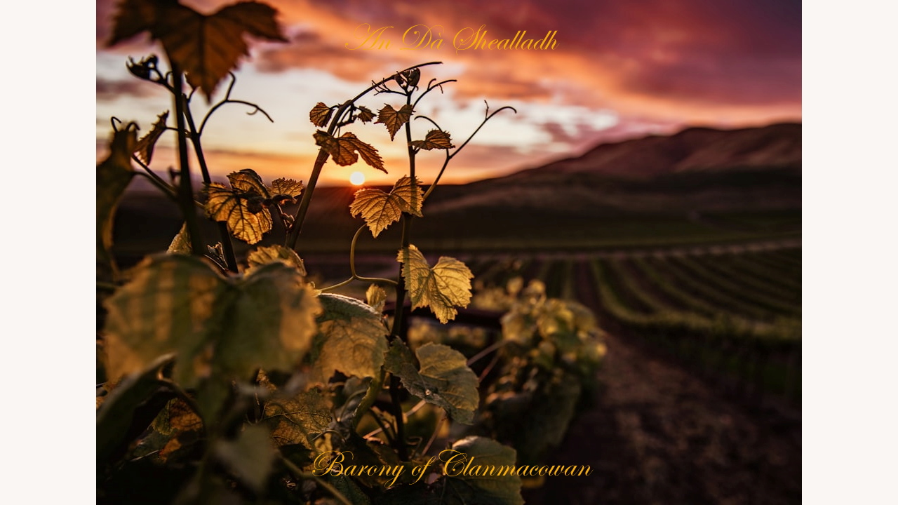 The vineyard, The romantic Barony of Clanmacowan, Tír na nÓg